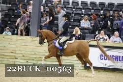 22BUCK_00563 proof