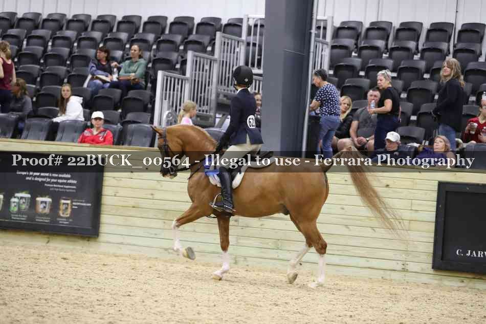 Proof 22BUCK_00564