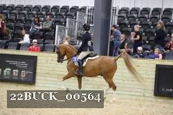 22BUCK_00564 proof
