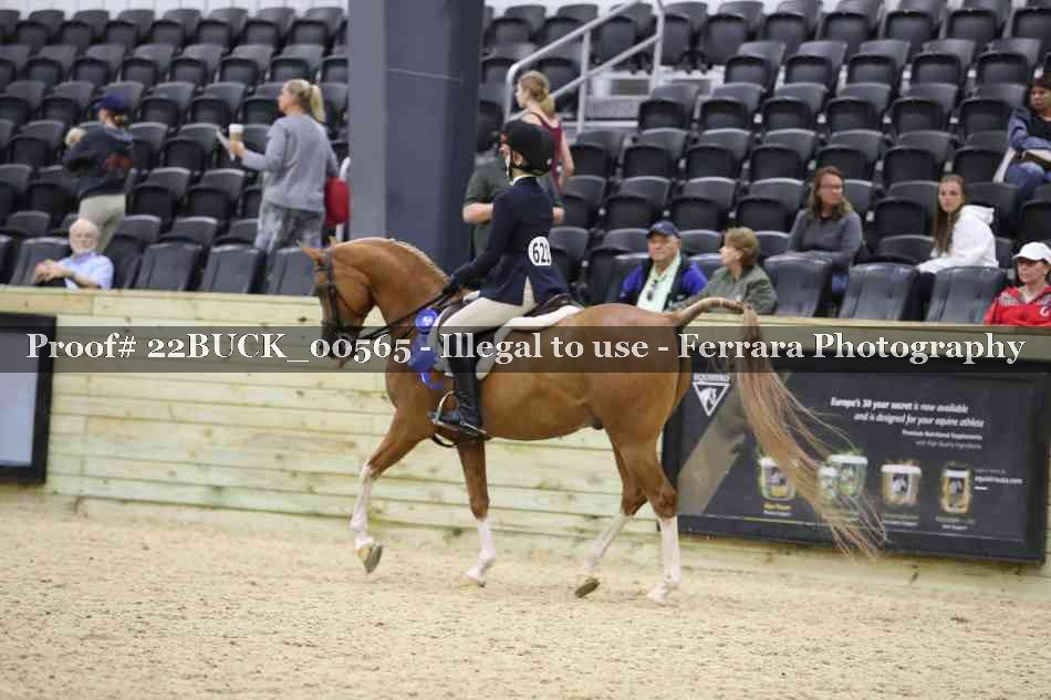 Proof 22BUCK_00565