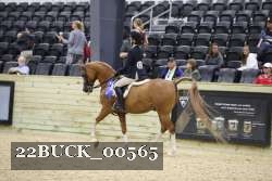 22BUCK_00565 proof
