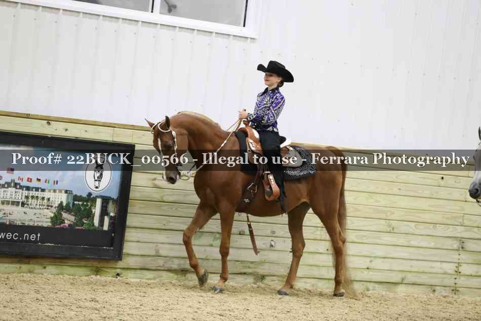 Proof 22BUCK_00566