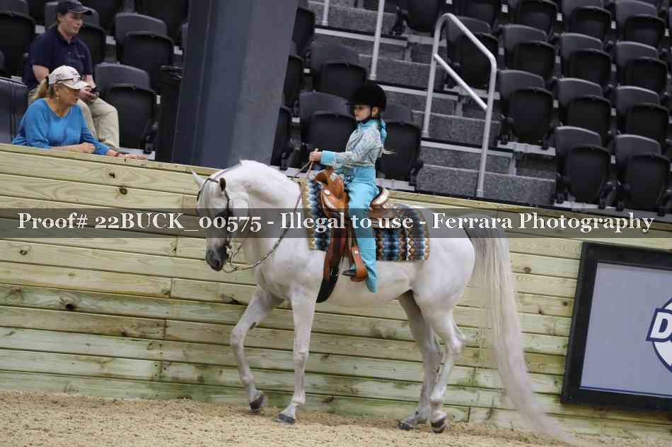 Proof 22BUCK_00575