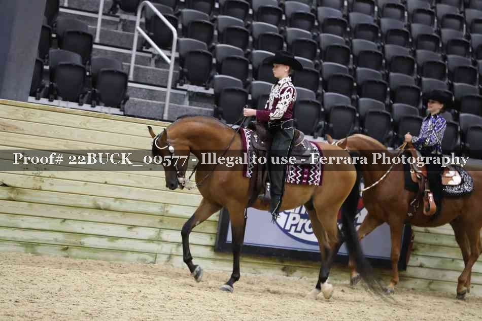 Proof 22BUCK_00577