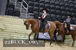 22BUCK_00577 proof