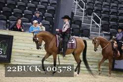 22BUCK_00578 proof