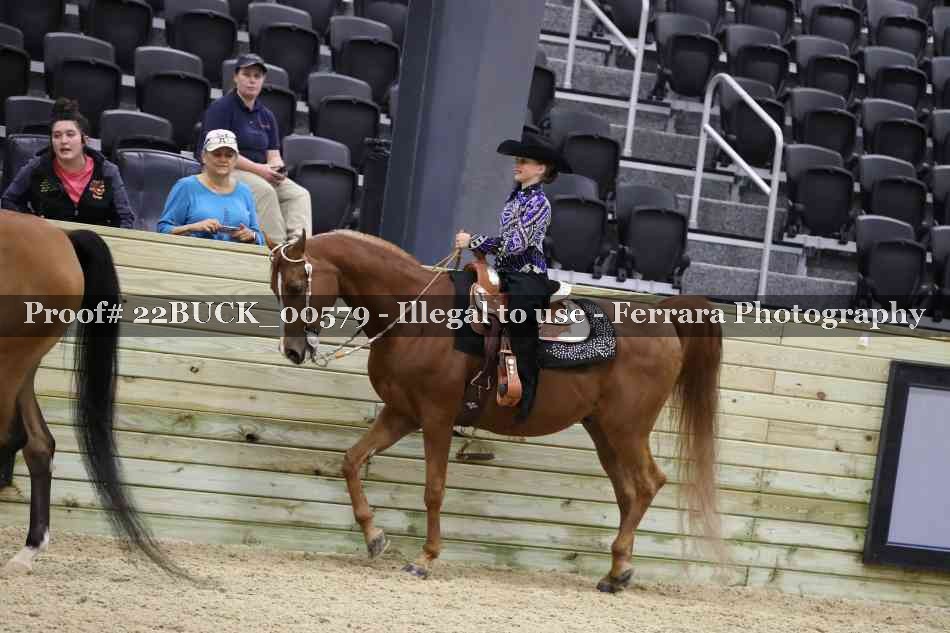 Proof 22BUCK_00579
