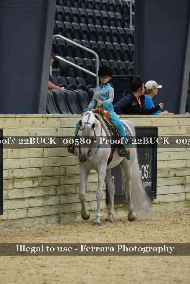 Proof 22BUCK_00580