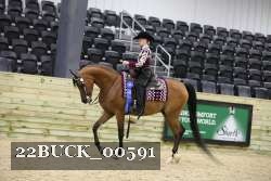 22BUCK_00591 proof