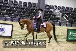 22BUCK_00592 proof