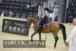 22BUCK_00594 proof
