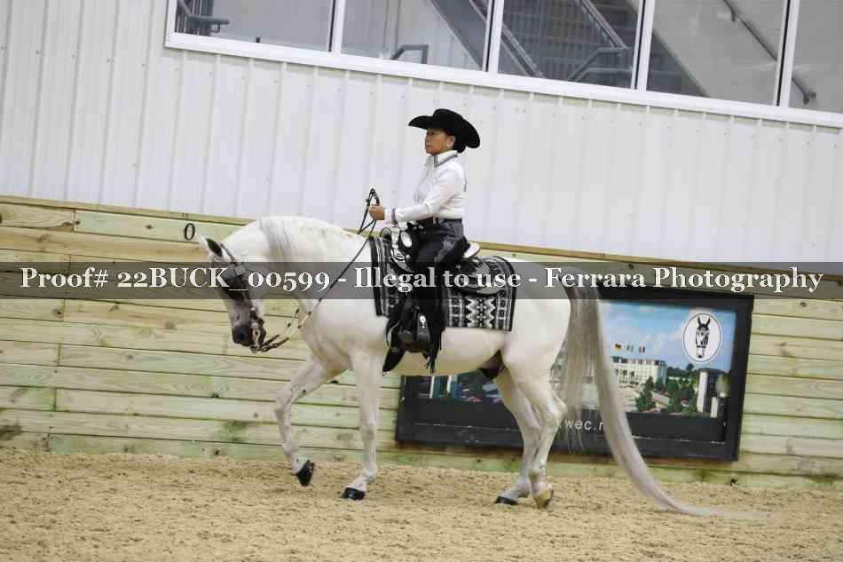 Proof 22BUCK_00599