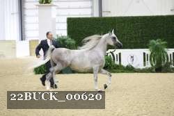 22BUCK_00620 proof