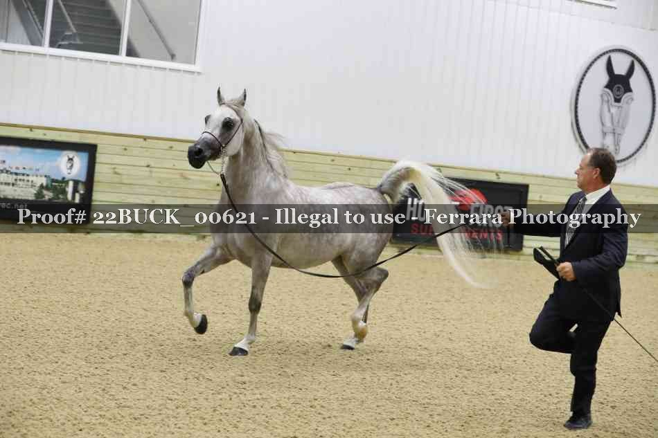 Proof 22BUCK_00621