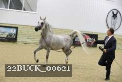 22BUCK_00621 proof