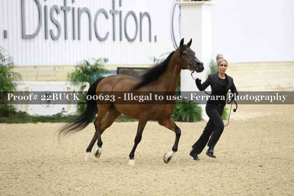 Proof 22BUCK_00623