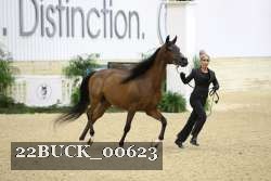 22BUCK_00623 proof
