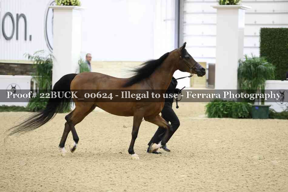Proof 22BUCK_00624