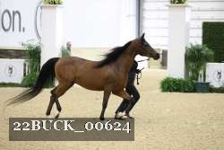 22BUCK_00624 proof
