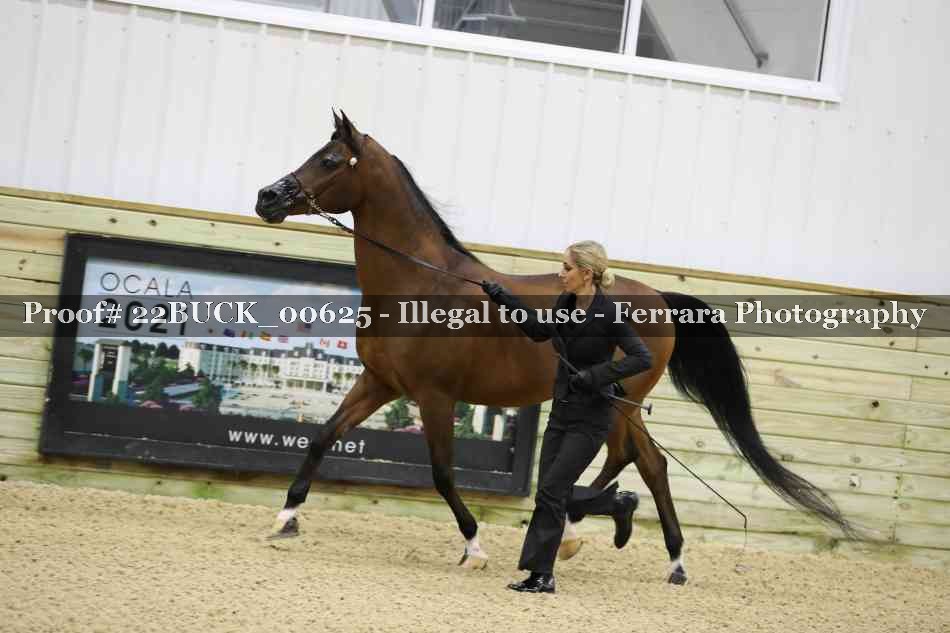 Proof 22BUCK_00625