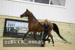 22BUCK_00625 proof