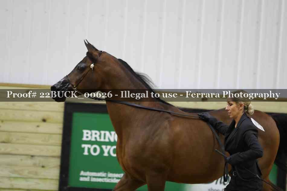 Proof 22BUCK_00626