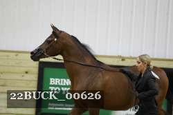 22BUCK_00626 proof