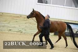 22BUCK_00627 proof