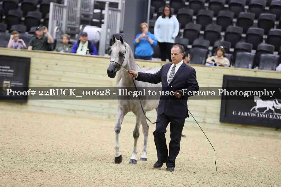 Proof 22BUCK_00628