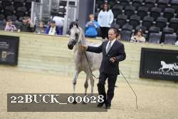 22BUCK_00628 proof