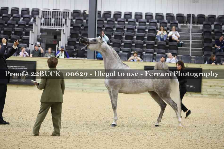 Proof 22BUCK_00629