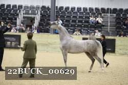 22BUCK_00629 proof
