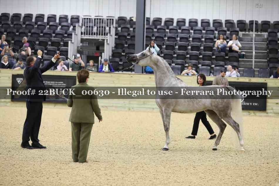 Proof 22BUCK_00630