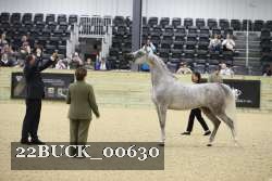 22BUCK_00630 proof