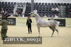 22BUCK_00631 proof