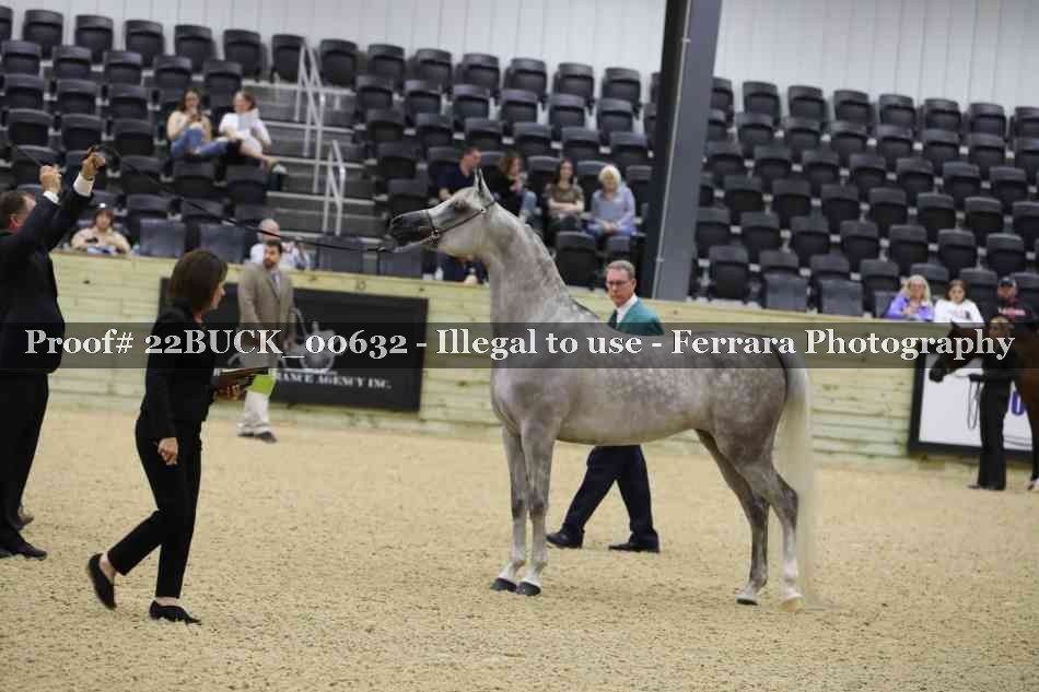 Proof 22BUCK_00632