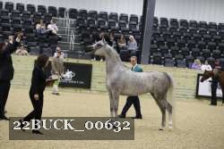 22BUCK_00632 proof
