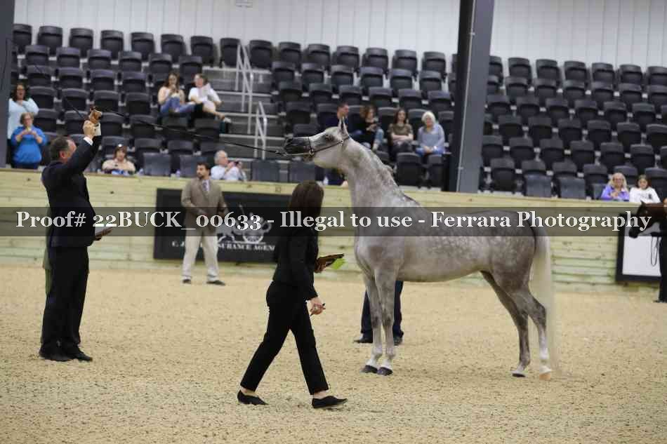 Proof 22BUCK_00633