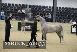 22BUCK_00633 proof