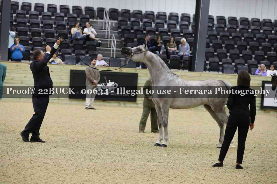 Proof 22BUCK_00634