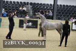22BUCK_00634 proof