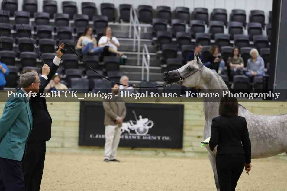 Proof 22BUCK_00635