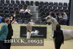 22BUCK_00635 proof