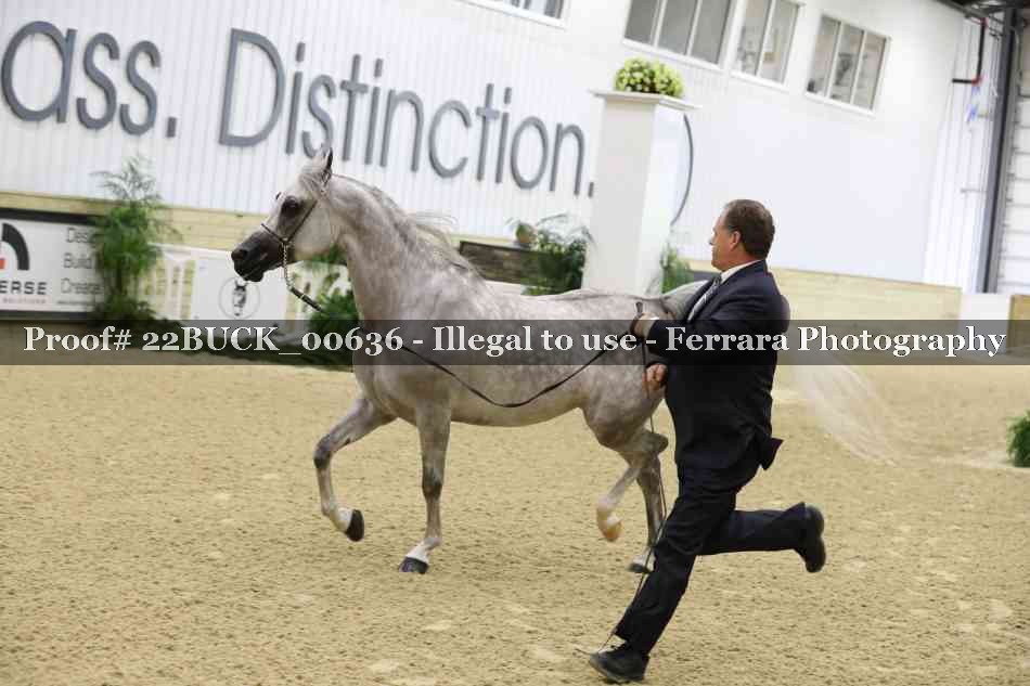 Proof 22BUCK_00636