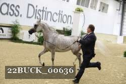 22BUCK_00636 proof