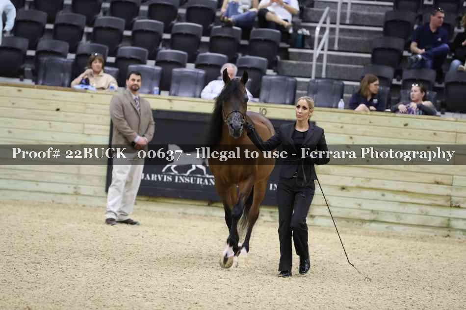 Proof 22BUCK_00637