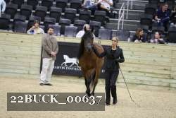 22BUCK_00637 proof