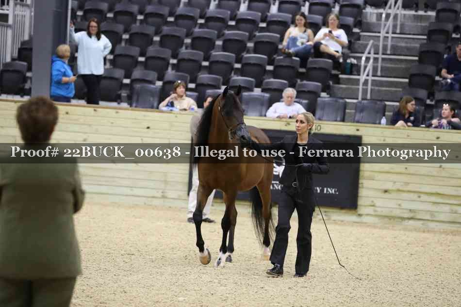 Proof 22BUCK_00638