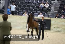 22BUCK_00638 proof
