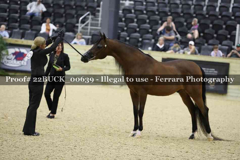 Proof 22BUCK_00639